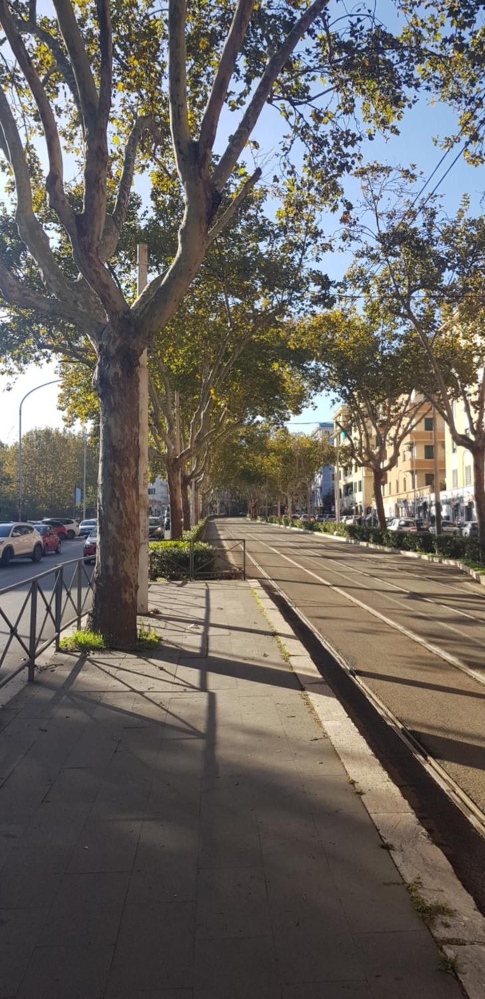 Trastevere Residenze Rome Extérieur photo